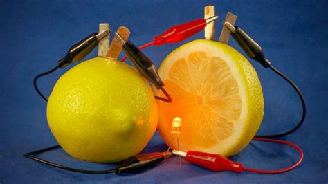 Citru Magic Lemon: Adding Zest to Your Life